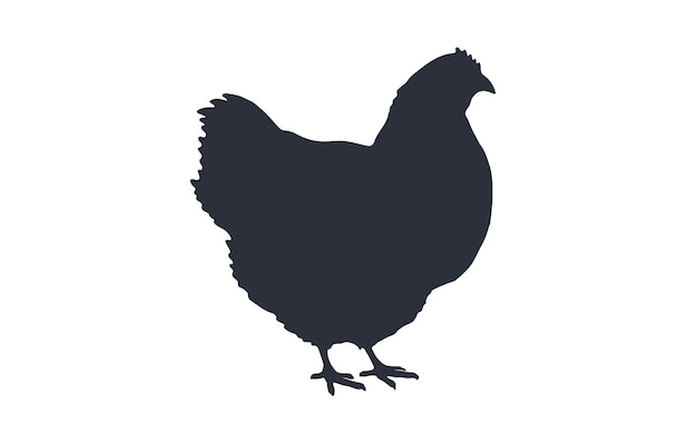 Premium Vector | Hen, chicken. black white silhouette of chicken or hen ...