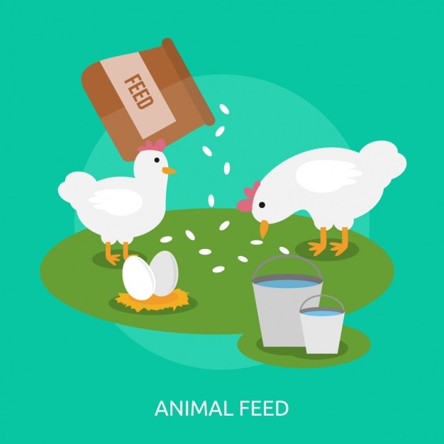 Animal Feed Vectors, Photos and PSD files | Free Download