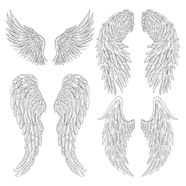 紋章の翼はタトゥーのデザインに設定されています プレミアムベクター