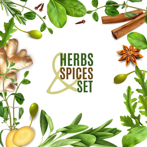 Free Vector | Herbs spices realistic square frame with fresh rosemary thyme rocket spinach leaves cinnamon ginger anise