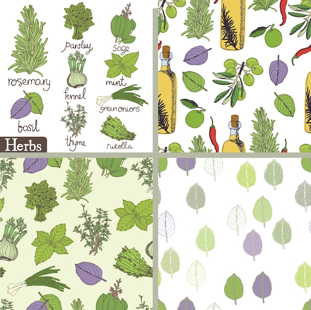 Herbs and spices set Vector | Free Download