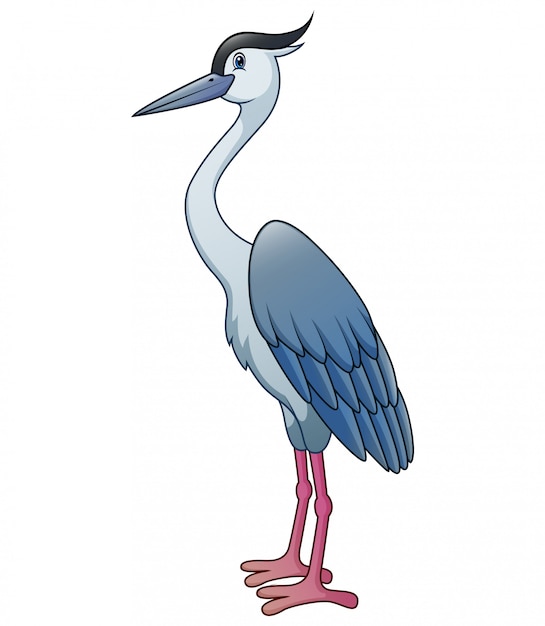 Premium Vector | The heron isolated