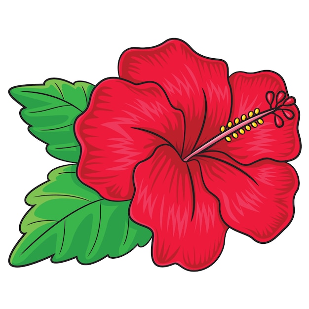 Premium Vector | Hibiscus flower cartoon