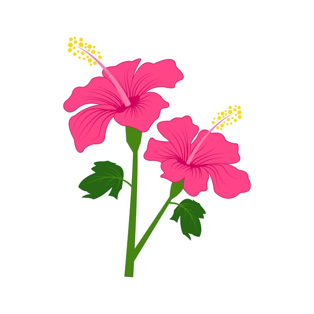 Premium Vector Hibiscus Flower Floral Vector Illustration 