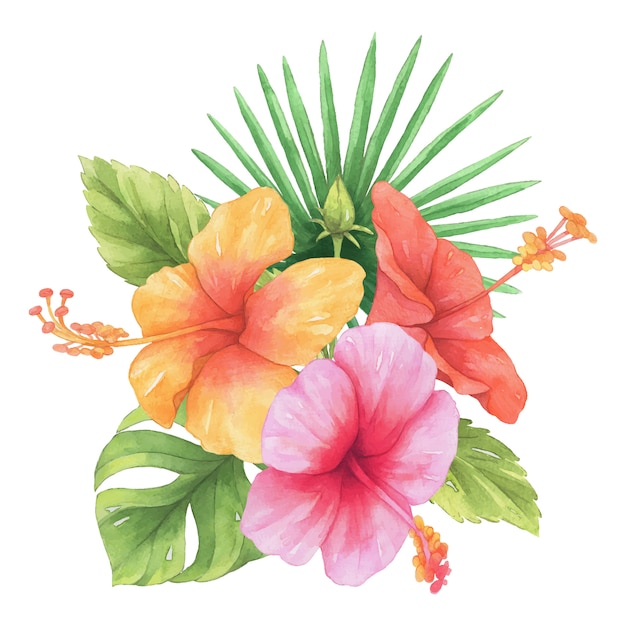 Premium Vector | Hibiscus flower watercolor