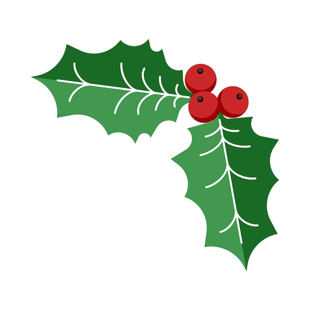 Premium Vector | Holly berry leaves icon. traditional christmas ...