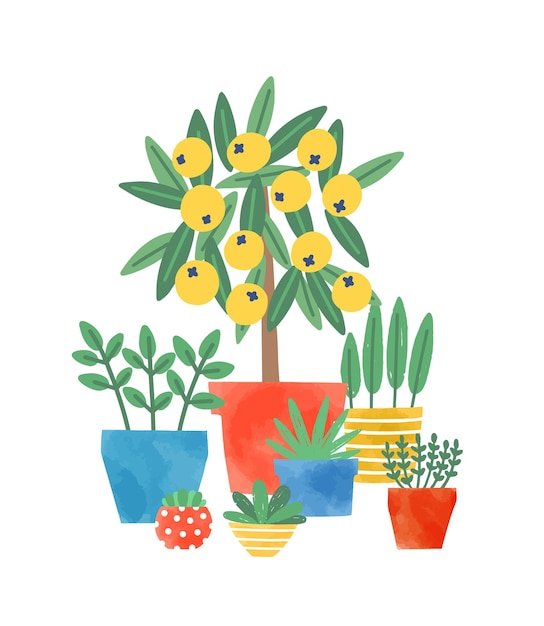 Premium Vector | Home plants in ceramic pots flat vector illustration ...