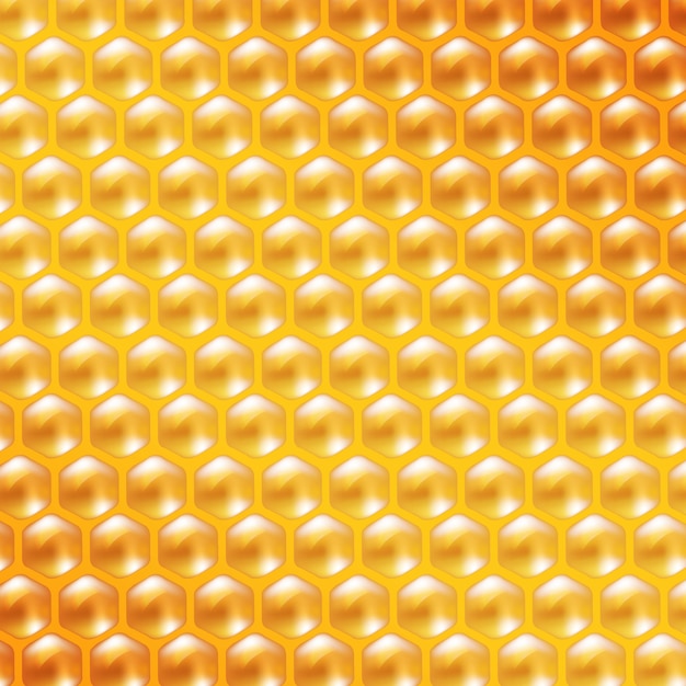 Premium Vector | Honey background