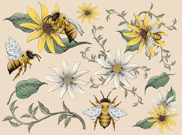 Honey bees and flowers elements, retro hand drawn etching shading style , colorful tone Premium Vect