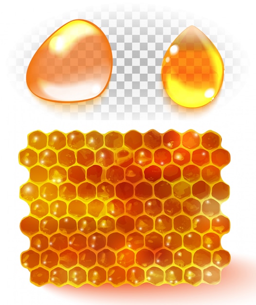 Honey comb Vector | Premium Download