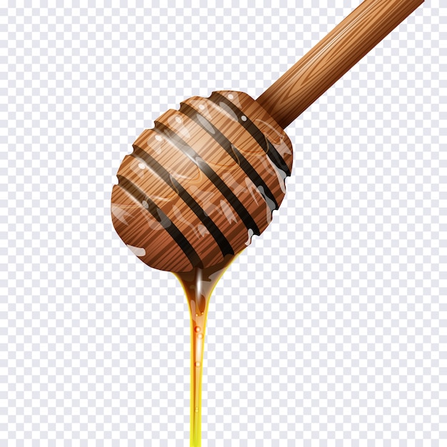 Honey dipper on transparent Vector | Premium Download