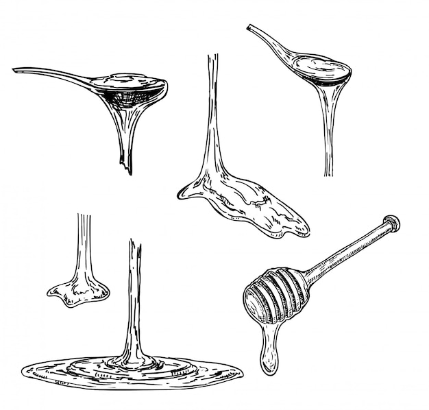 蜂蜜またはメープルシロップがスプーンから排出されます スケッチ スプーンから滴る粘性物質 白い背景のイラスト プレミアムベクター