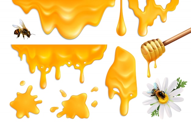 無料のベクター 蜂蜜飛び散っと蜂のカラフルなセットのリアルなイラスト