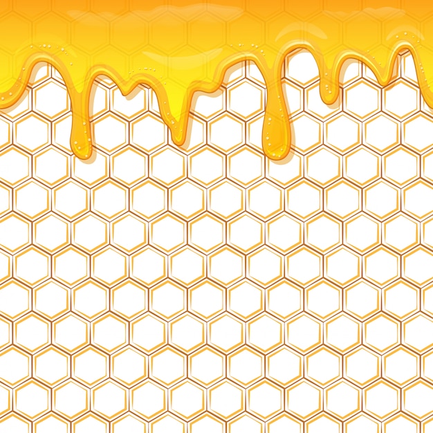 Premium Vector | Honey