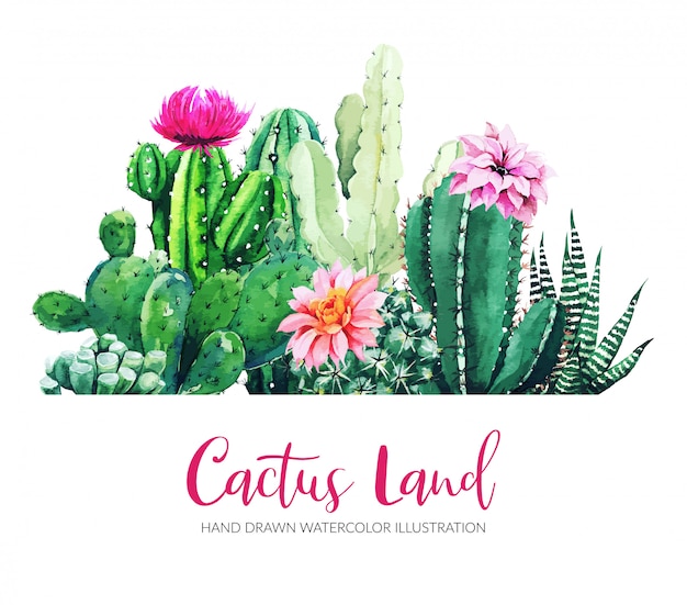 Premium Vector Horizontal Banner With Watercolor Cactus And Succulent Plants 5225