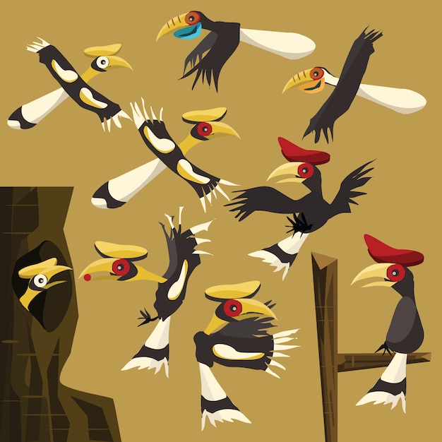 Premium Vector | Hornbills set vector illustration