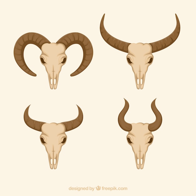 Horned animal skull set