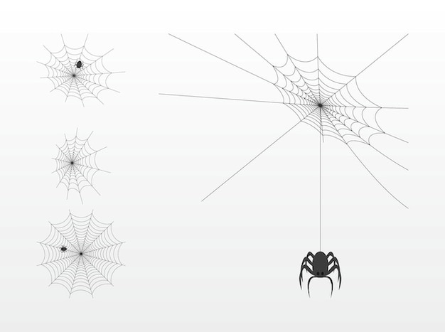 Horror insect Spider webs vector