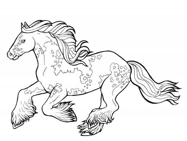 Download Premium Vector Horse Runs Trot Coloring Book The Horse Runs Trot Coloring Book Tinker Is A Thoroughbred Horse