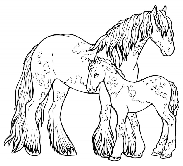 Download Horse runs trot. coloring book. the horse runs trot ...