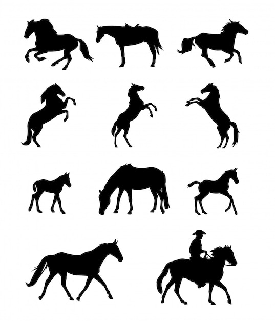 Premium Vector | Horse silhouette