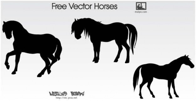 Download Horse silhouettes free vector | Free Vector