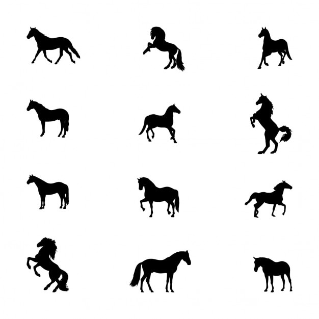 Horse silhouettes set