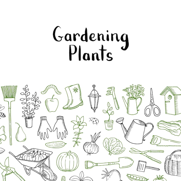 Premium Vector Horticulture and plants sketch. vector gardening