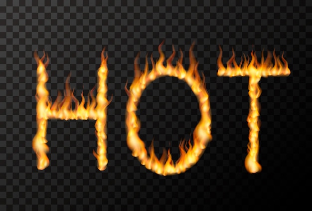 Download Free Hot Phrase Made From Bright Realistic Fire Flames On Transparent Use our free logo maker to create a logo and build your brand. Put your logo on business cards, promotional products, or your website for brand visibility.