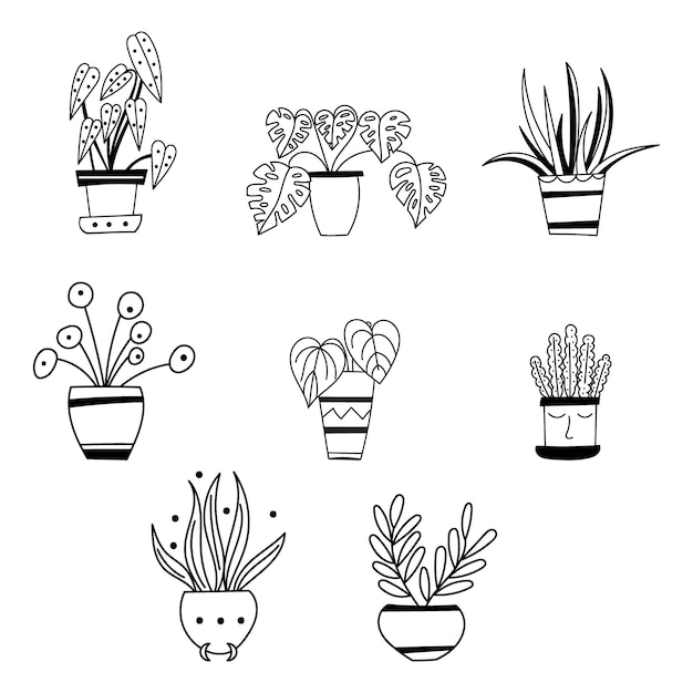 Premium Vector | House plant clipart. vector illustration.