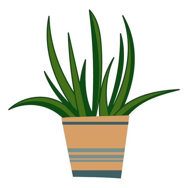 Premium Vector | House plant design. vector illustration.