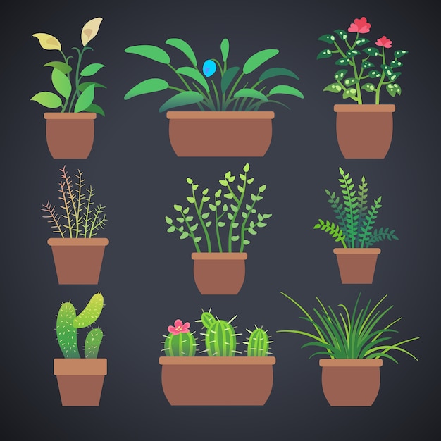 House plants | Premium Vector