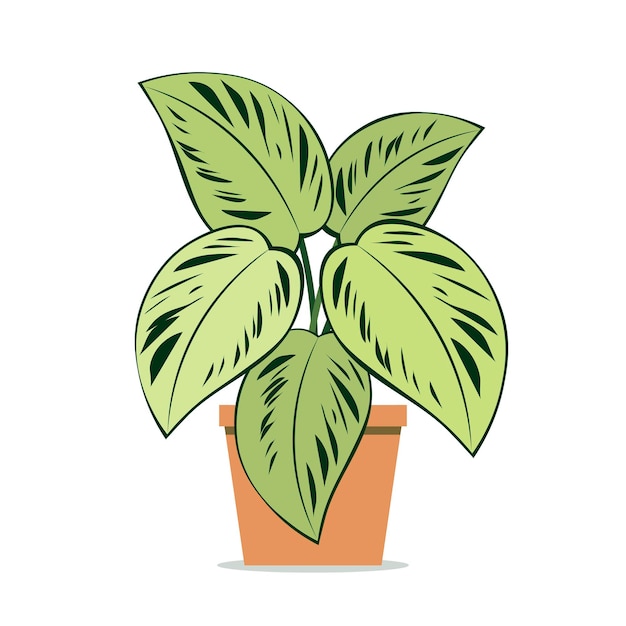 Premium Vector | Houseplant aglaonema potted plant on an isolated ...