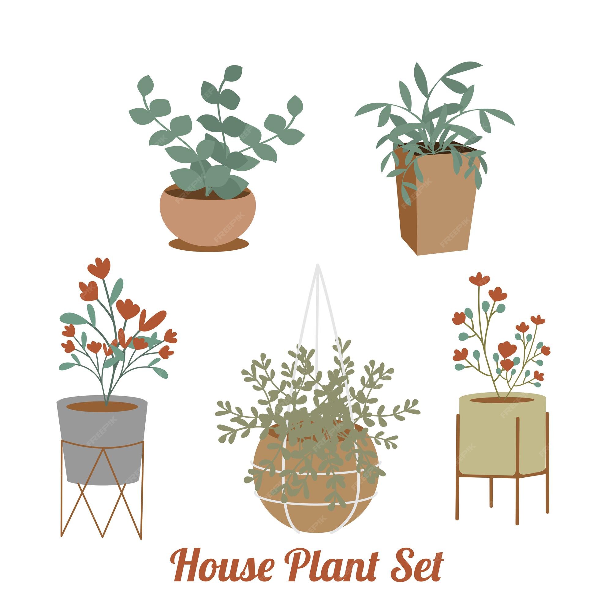 Premium Vector Houseplant Set Bundles With Pot