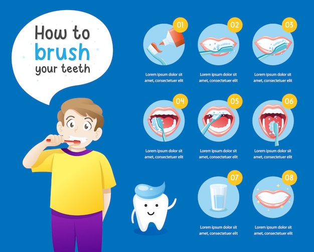 Premium Vector How to brush your teeth