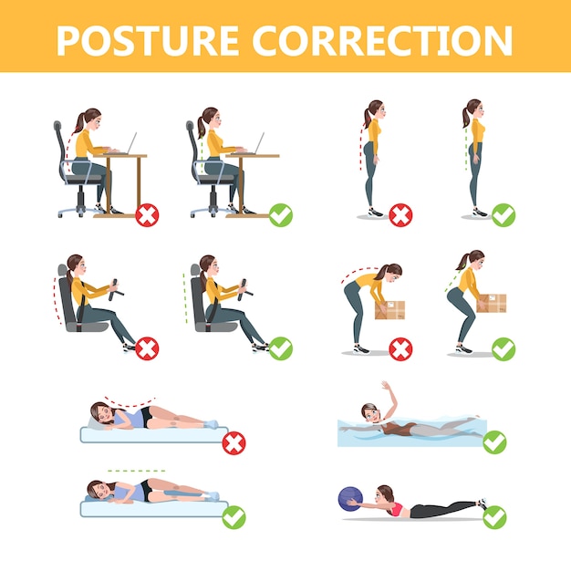 Premium Vector | How to correct posture, informative poster. incorrect ...