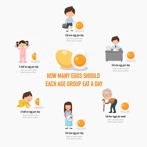 how-many-eggs-should-each-age-group-eat-a-day-infographic-vector