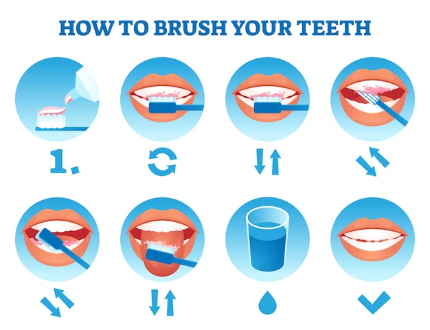 歯のイラストを磨く方法 シンプルな教育ケアプロセス プレミアムベクター