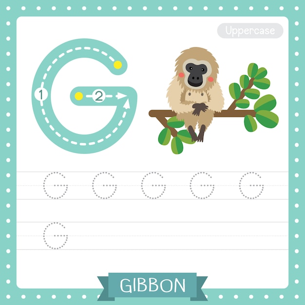 premium-vector-how-to-write-letter-g-uppercase-abc-alphabet-tracing