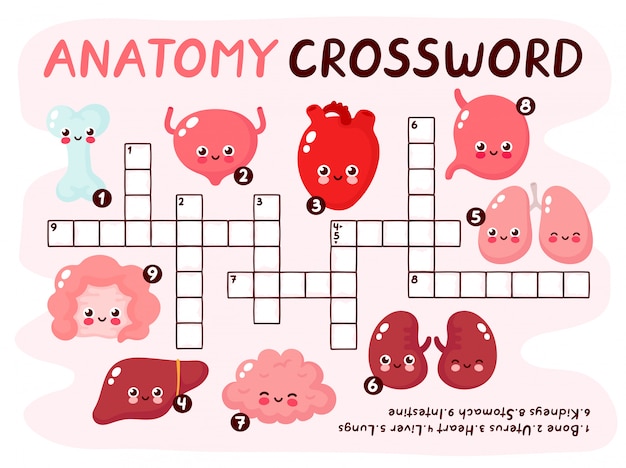 Premium Vector Human Anatomy Crossword Pazzle Game Cute Smiling Happy Human Healthy Strong Organs Set