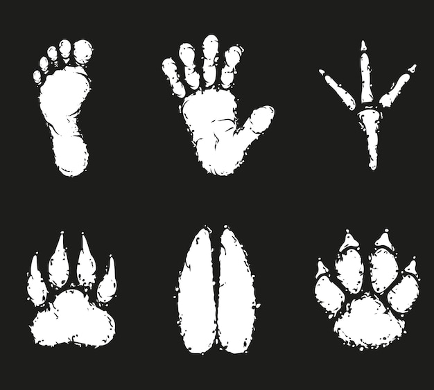 Foot Outline Images | Free Vectors, Stock Photos & PSD