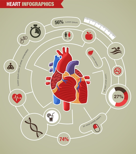 Premium Vector | Human heart health, disease and heart attack infographic