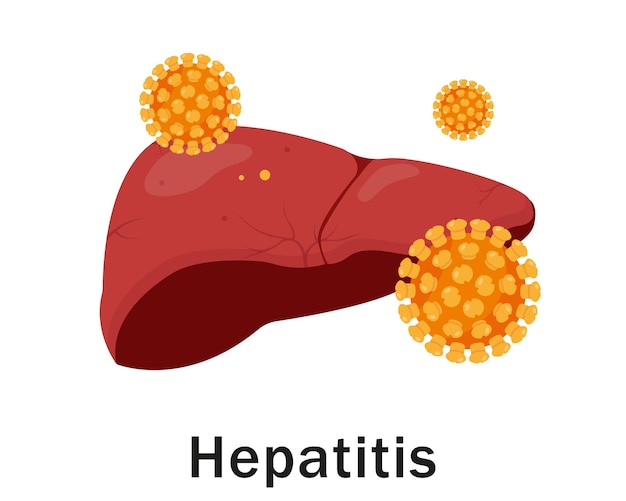 Premium Vector Human Liver And Hepatitis Virus Isolated On White