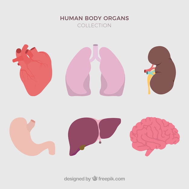 Organs Please free download