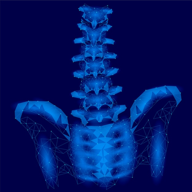 Позвоночник vector. Spine vector. Triangles Spine.