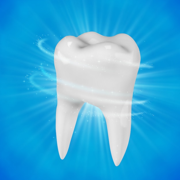 Human white tooth Vector | Premium Download