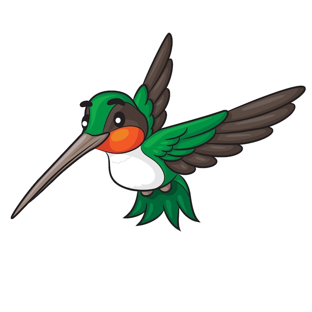 Premium Vector | Humming bird cartoon