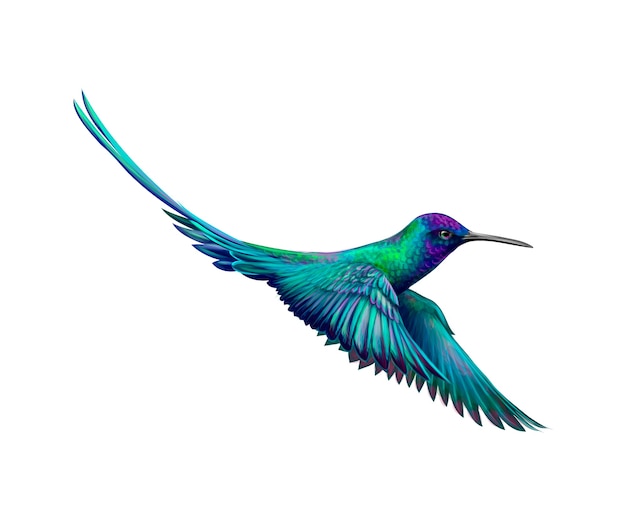 Download Premium Vector Hummingbird From A Splash Of Watercolor Hand Drawn Sketch Illustration Of Paints