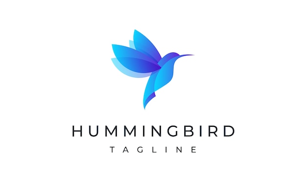 Premium Vector Hummingbird Logo Template