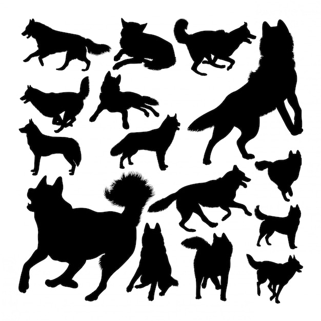 Premium Vector | Husky dog animal silhouettes